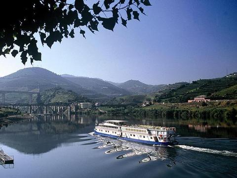 Douro Prince Schiff